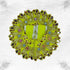 Beautiful Light Green Dress for Little Krishna Size-3