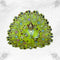 Beautiful Light Green Dress for Little Krishna Size-3