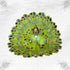 Beautiful Light Green Dress for Little Krishna Size-3