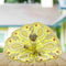 Beautiful Yellow Designer Poshak for Kanha Ji Size-3