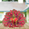 Beautiful Pink Designer Poshak for Kanha Ji Size-4