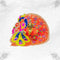 Graceful Orange Outfit with Majestic Mor Motif for Kanha Ji Size-6