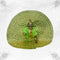 Vibrant Green Dress with Traditional Embroidery for Little Krishna Size-6